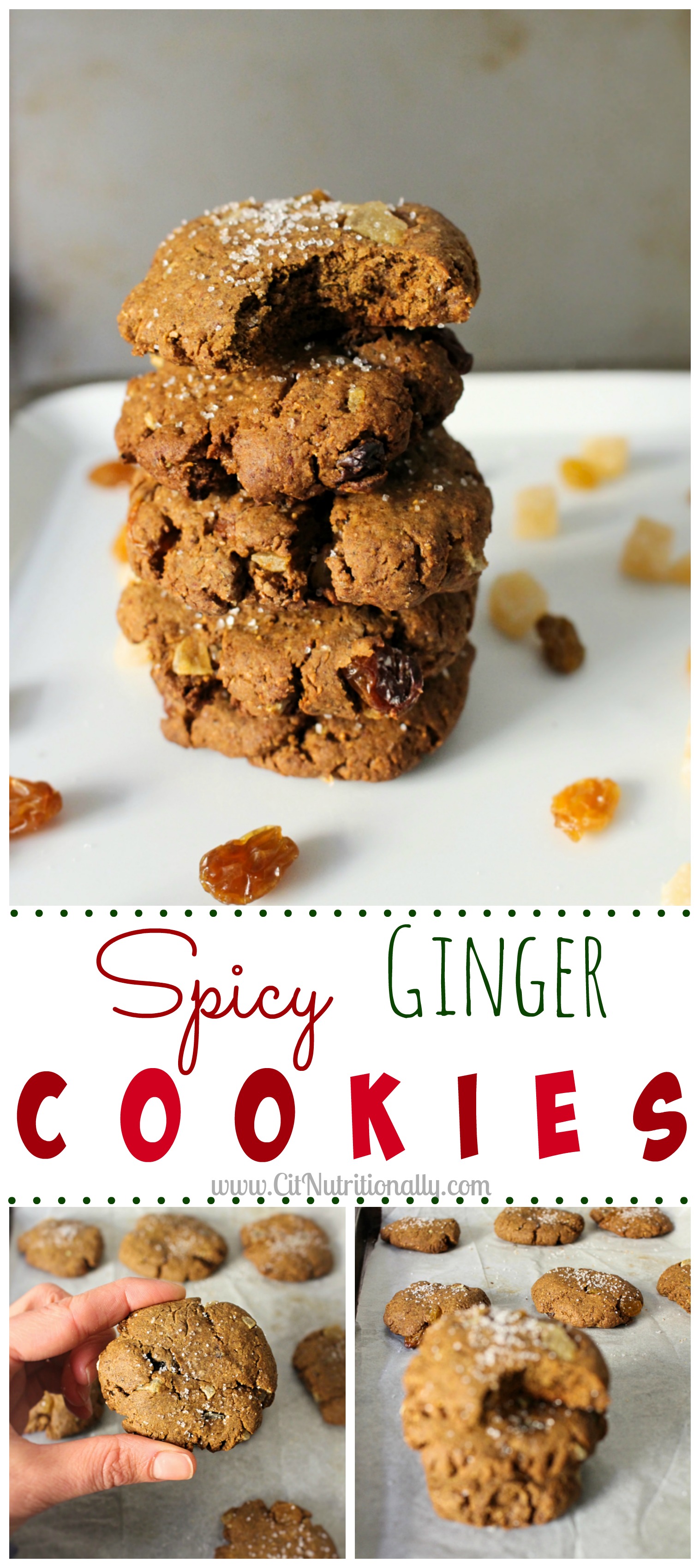 Spicy Ginger Cookies | C it Nutritionally #vegan option #nutfree #peanutfree #eggfree #dairyfree #soyfree #Christmas #dessert #baking