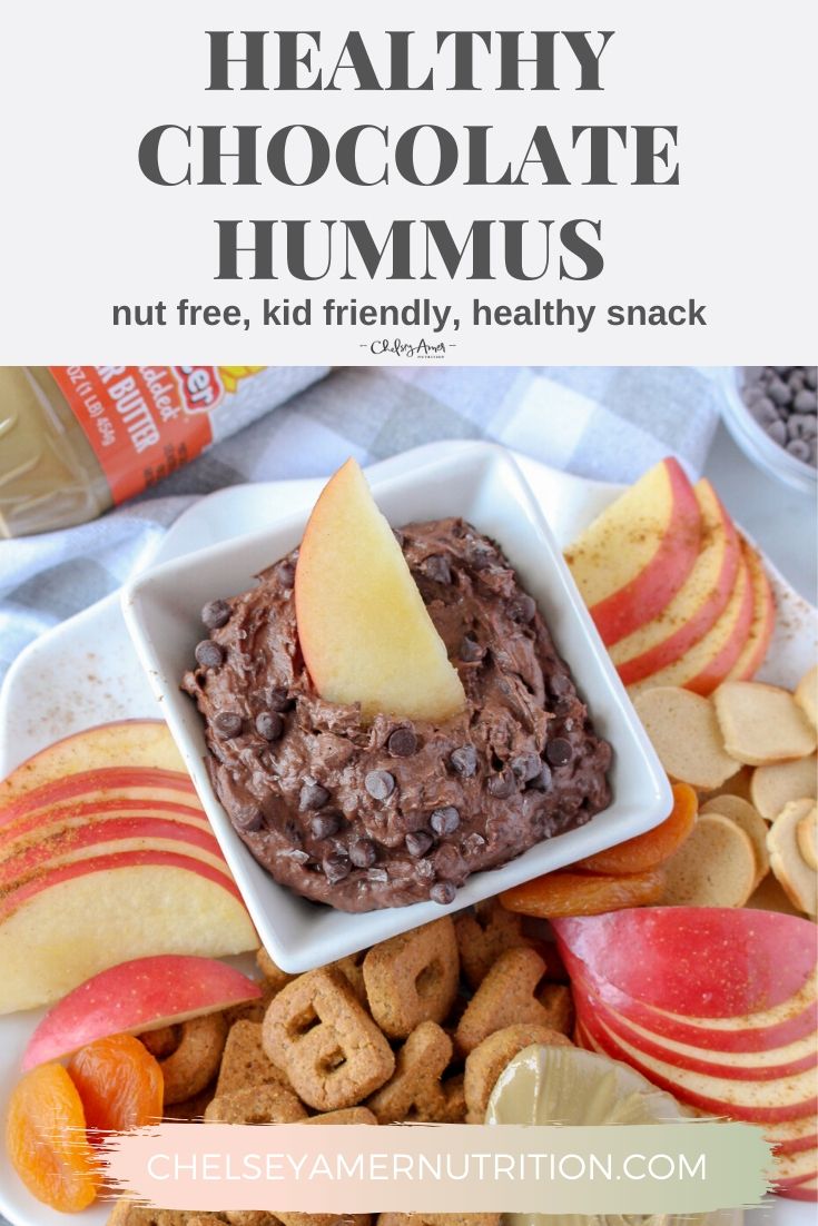 Healthy Chocolate Hummus Chelsey Amer