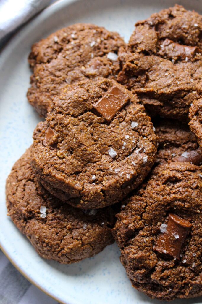 Double Chocolate Oat Flour Cookies