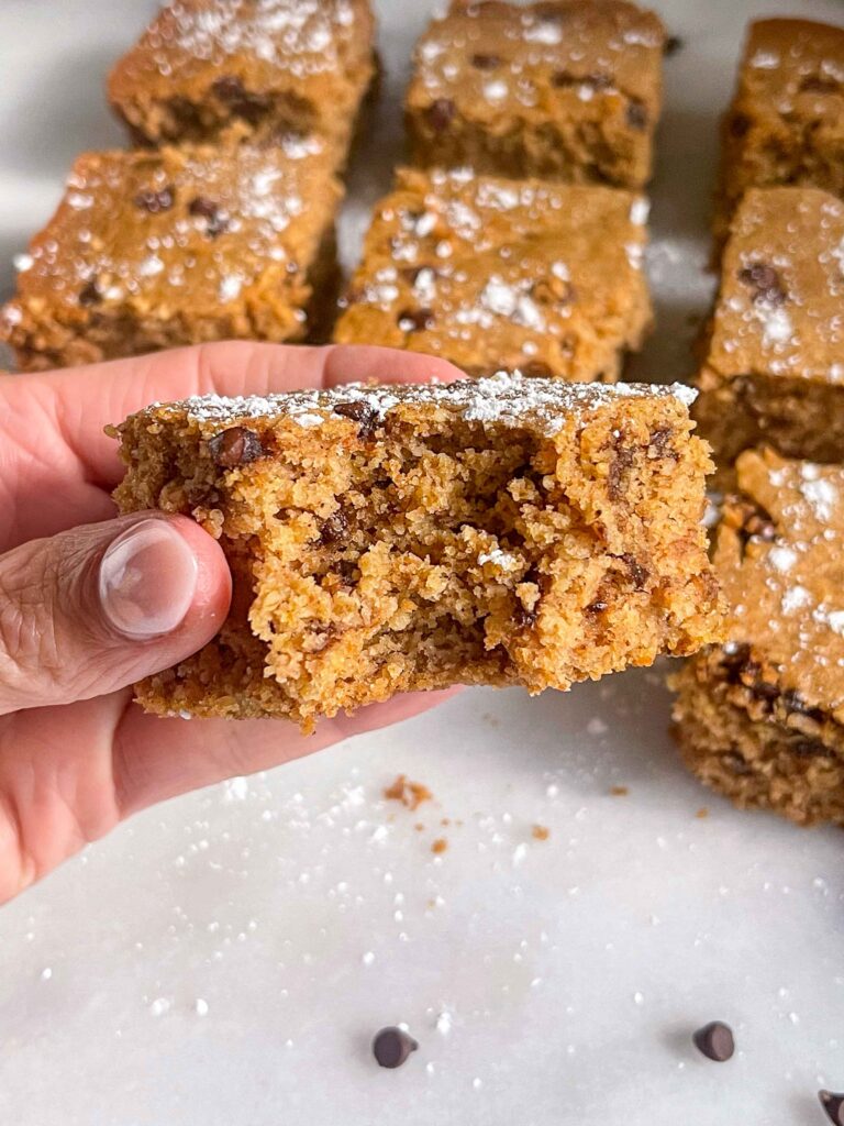 Gluten Free Chocolate Chip Snack Cake 