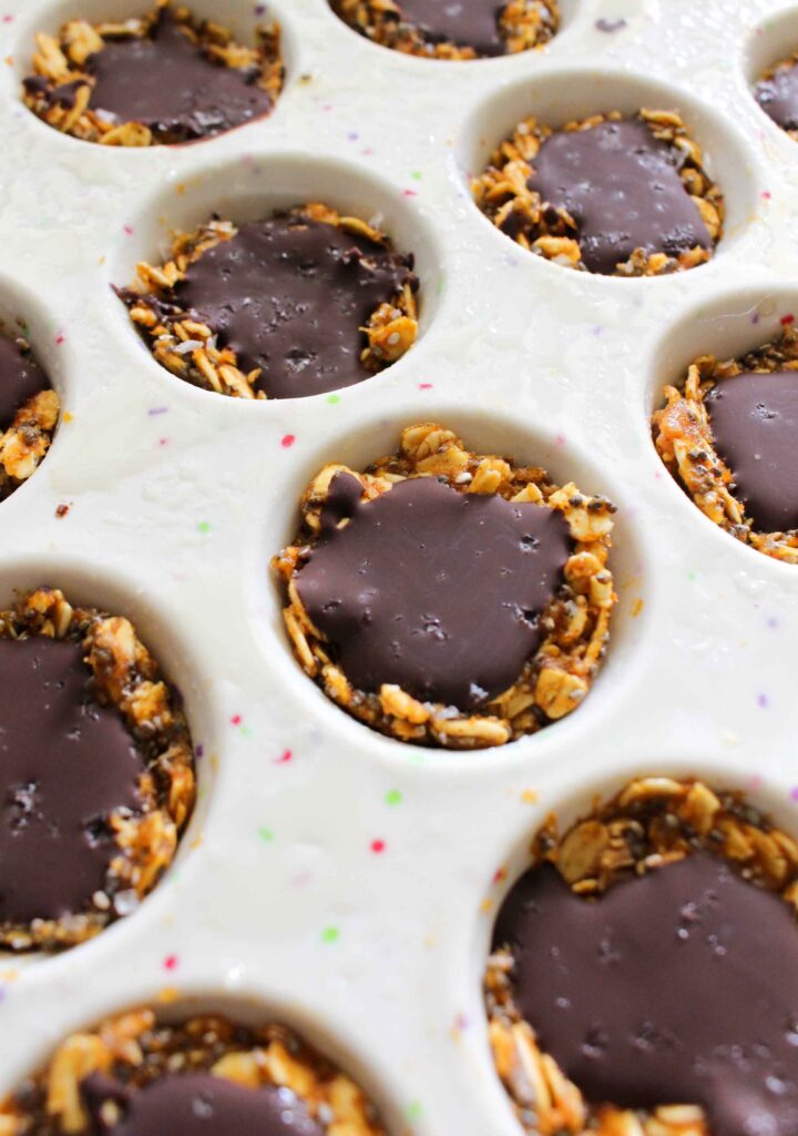 Pumpkin Chocolate Oat Bites